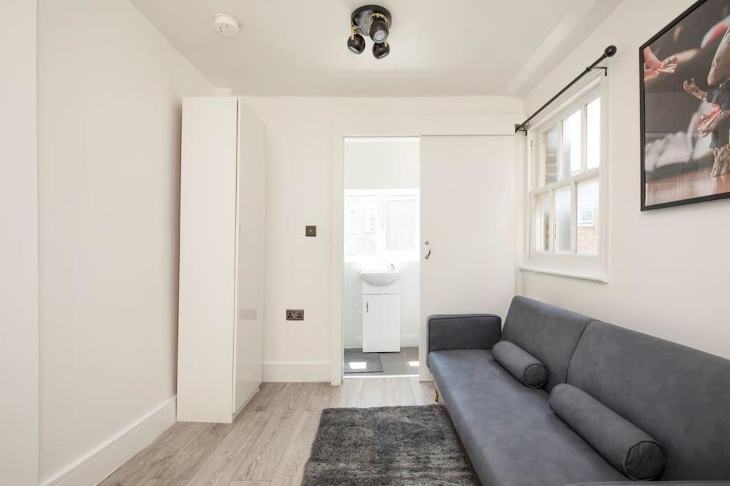 Spacious Serenity In The Heart Of Central London Exteriör bild